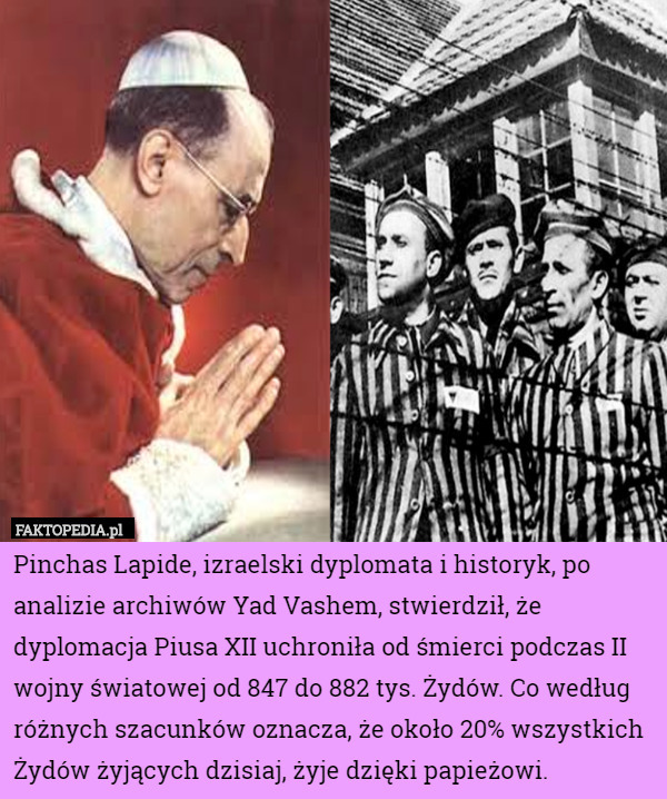 Pinchas Lapide, izraelski dyplomata i historyk, po analizie archiwów Yad Vashem, stwierdził, że dyplomacja Piusa XII uchroniła od śmierci podczas II wojny światowej od 847 do 882 tys. Żydów. Co według różnych szacunków oznacza, że około 20% wszystkich Żydów żyjących dzisiaj, żyje dzięki papieżowi. 