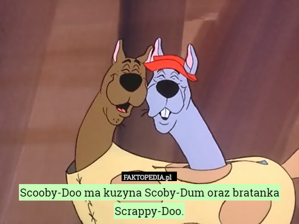 Scooby-Doo ma kuzyna Scoby-Dum oraz bratanka Scrappy-Doo. 