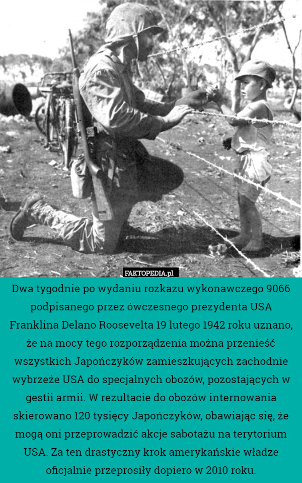 Dwa tygodnie po wydaniu rozkazu wykonawczego 9066 podpisanego przez ówczesnego prezydenta USA Franklina Delano Roosevelta 19 lutego 1942 roku uznano, że na mocy tego rozporządzenia można przenieść wszystkich Japończyków zamieszkujących zachodnie wybrzeże USA do specjalnych obozów, pozostających w gestii armii. W rezultacie do obozów internowania skierowano 120 tysięcy Japończyków, obawiając się, że mogą oni przeprowadzić akcje sabotażu na terytorium USA. Za ten drastyczny krok amerykańskie władze oficjalnie przeprosiły dopiero w 2010 roku. 