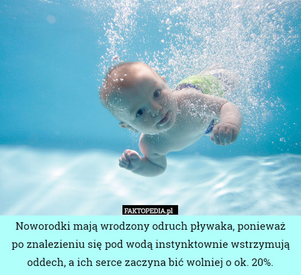 Noworodki mają wrodzony odruch pływaka, ponieważ
po znalezieniu się pod wodą instynktownie wstrzymują oddech, a ich serce zaczyna bić wolniej o ok. 20%. 