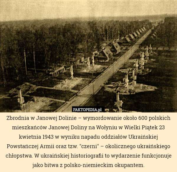 Zbrodnia w Janowej Dolinie – wymordowanie około 600 polskich mieszkańców Janowej Doliny na Wołyniu w Wielki Piątek 23 kwietnia 1943 w wyniku napadu oddziałów Ukraińskiej Powstańczej Armii oraz tzw. "czerni" – okolicznego ukraińskiego chłopstwa. W ukraińskiej historiografii to wydarzenie funkcjonuje jako bitwa z polsko-niemieckim okupantem. 