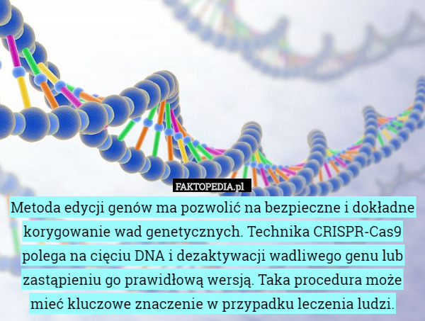 Metoda edycji genów ma pozwolić na bezpieczne i dokładne korygowanie wad genetycznych. Technika CRISPR-Cas9 polega na cięciu DNA i dezaktywacji wadliwego genu lub zastąpieniu go prawidłową wersją. Taka procedura może mieć kluczowe znaczenie w przypadku leczenia ludzi. 
