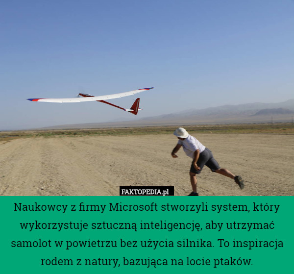 Naukowcy z firmy Microsoft stworzyli system, który wykorzystuje sztuczną inteligencję, aby utrzymać samolot w powietrzu bez użycia silnika. To inspiracja rodem z natury, bazująca na locie ptaków. 