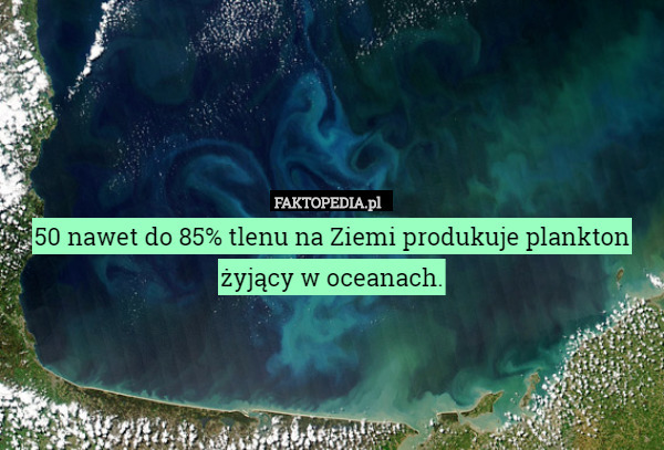 50 nawet do 85% tlenu na Ziemi produkuje plankton żyjący w oceanach. 