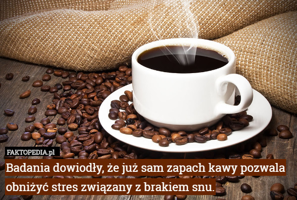 Badania dowiodły, że już sam zapach kawy pozwala obniżyć stres związany z brakiem snu. 