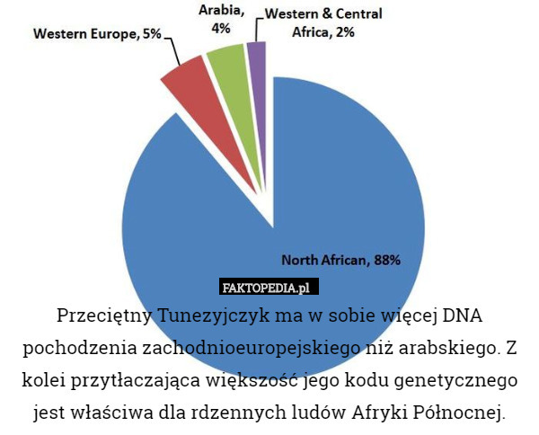 Przeciętny Tunezyjczyk ma w sobie więcej DNA pochodzenia zachodnioeuropejskiego niż arabskiego. Z kolei przytłaczająca większość jego kodu genetycznego jest właściwa dla rdzennych ludów Afryki Północnej. 
