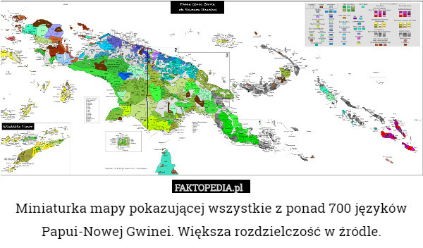 Miniaturka mapy pokazującej wszystkie z ponad 700 języków Papui-Nowej Gwinei. Większa rozdzielczość w źródle. 