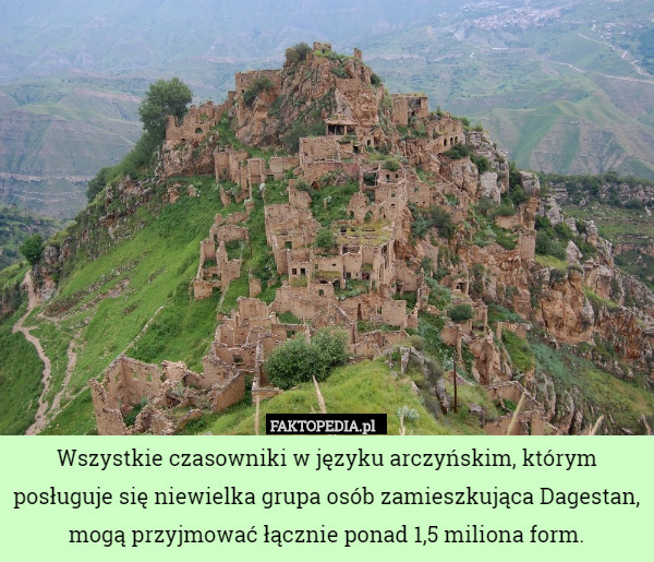 Wszystkie czasowniki w języku arczyńskim, którym posługuje się niewielka grupa osób zamieszkująca Dagestan, mogą przyjmować łącznie ponad 1,5 miliona form. 