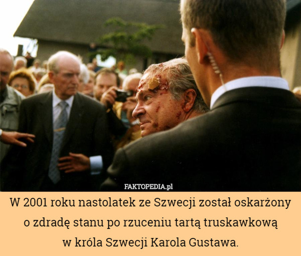 W 2001 roku nastolatek ze Szwecji został oskarżony o zdradę stanu po rzuceniu tartą truskawkową
 w króla Szwecji Karola Gustawa. 