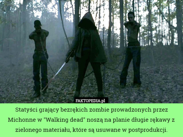 Statyści grający bezrękich zombie prowadzonych przez Michonne w "Walking dead" noszą na planie długie rękawy z zielonego materiału, które są usuwane w postprodukcji. 