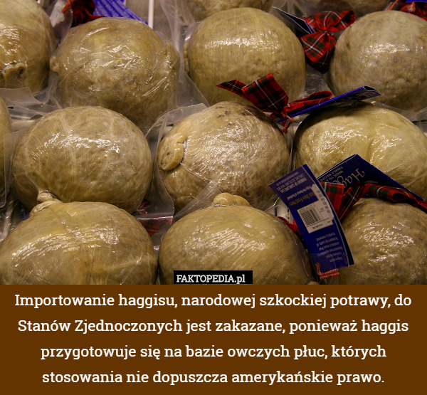 Importowanie haggisu, narodowej szkockiej potrawy, do Stanów Zjednoczonych jest zakazane, ponieważ haggis przygotowuje się na bazie owczych płuc, których stosowania nie dopuszcza amerykańskie prawo. 