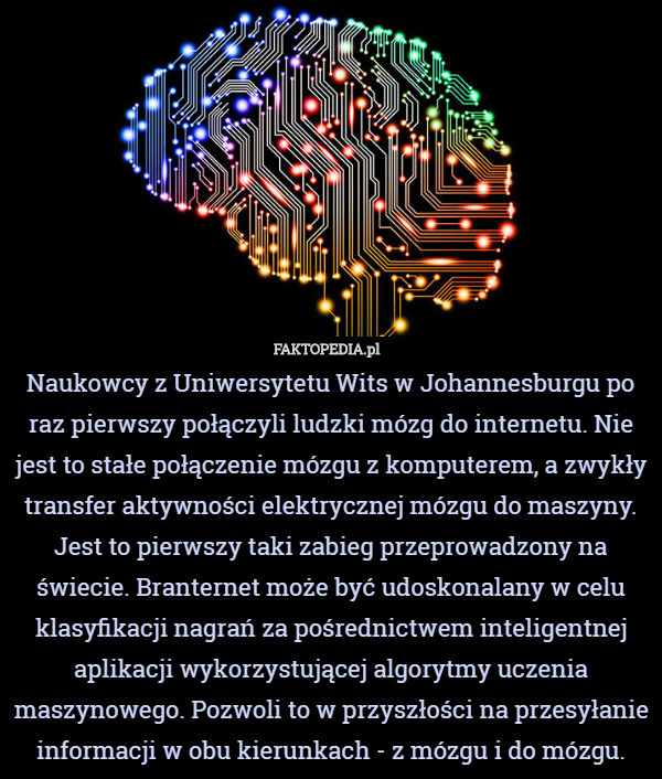 Naukowcy z Uniwersytetu Wits w Johannesburgu po raz pierwszy połączyli ludzki mózg do internetu. Nie jest to stałe połączenie mózgu z komputerem, a zwykły transfer aktywności elektrycznej mózgu do maszyny. Jest to pierwszy taki zabieg przeprowadzony na świecie. Branternet może być udoskonalany w celu klasyfikacji nagrań za pośrednictwem inteligentnej aplikacji wykorzystującej algorytmy uczenia maszynowego. Pozwoli to w przyszłości na przesyłanie informacji w obu kierunkach - z mózgu i do mózgu. 