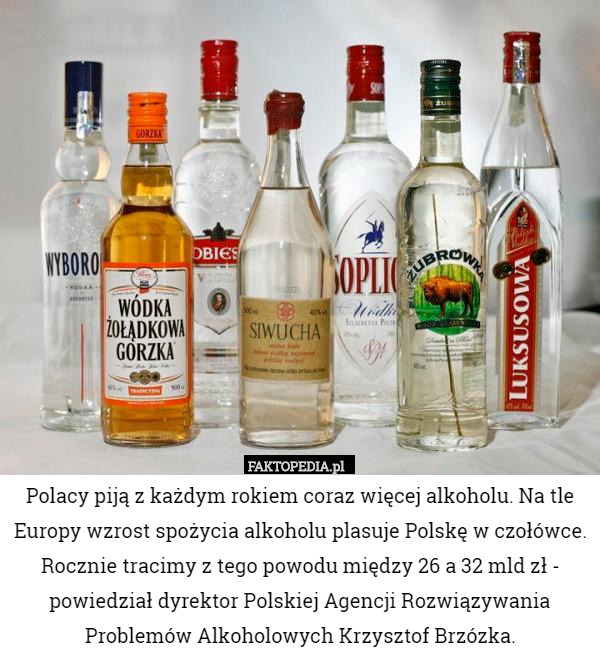 Polacy piją z każdym rokiem coraz więcej alkoholu. Na tle Europy wzrost spożycia alkoholu plasuje Polskę w czołówce. Rocznie tracimy z tego powodu między 26 a 32 mld zł - powiedział dyrektor Polskiej Agencji Rozwiązywania Problemów Alkoholowych Krzysztof Brzózka. 