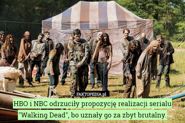 HBO i NBC odrzuciły propozycję realizacji serialu "Walking Dead", bo uznały go za zbyt brutalny. 