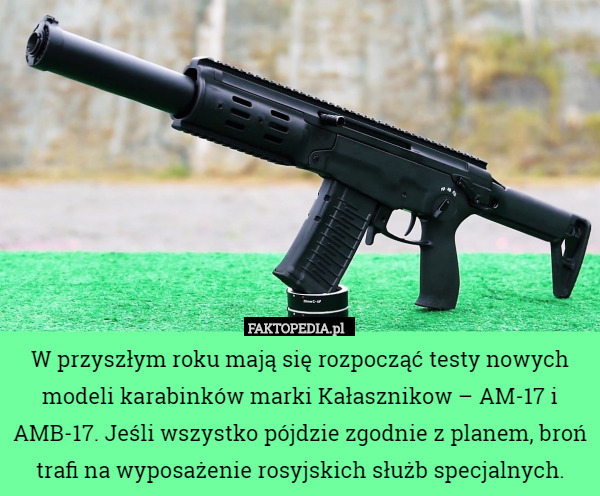 W przyszłym roku mają się rozpocząć testy nowych modeli karabinków marki Kałasznikow – AM-17 i AMB-17. Jeśli wszystko pójdzie zgodnie z planem, broń trafi na wyposażenie rosyjskich służb specjalnych. 