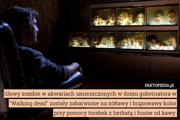 Głowy zombie w akwariach umieszczonych w domu gubernatora w "Walking dead" zostały zabarwione na żółtawy i brązowawy kolor przy pomocy torebek z herbatą i fusów od kawy. 