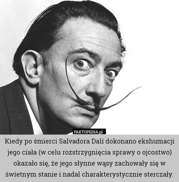 Kiedy po śmierci Salvadora Dalí dokonano ekshumacji jego ciała (w celu rozstrzygnięcia sprawy o ojcostwo) okazało się, że jego słynne wąsy zachowały się w świetnym stanie i nadal charakterystycznie sterczały. 