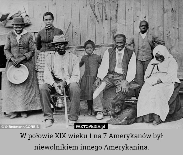 W połowie XIX wieku 1 na 7 Amerykanów był niewolnikiem innego Amerykanina. 