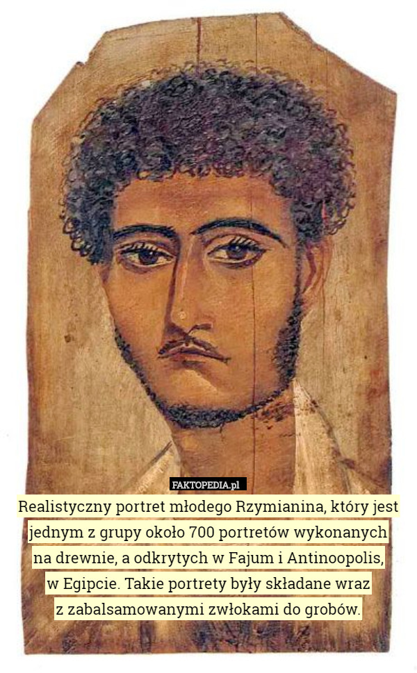 Realistyczny portret młodego Rzymianina, który jest jednym z grupy około 700 portretów wykonanych
 na drewnie, a odkrytych w Fajum i Antinoopolis,
 w Egipcie. Takie portrety były składane wraz
 z zabalsamowanymi zwłokami do grobów. 