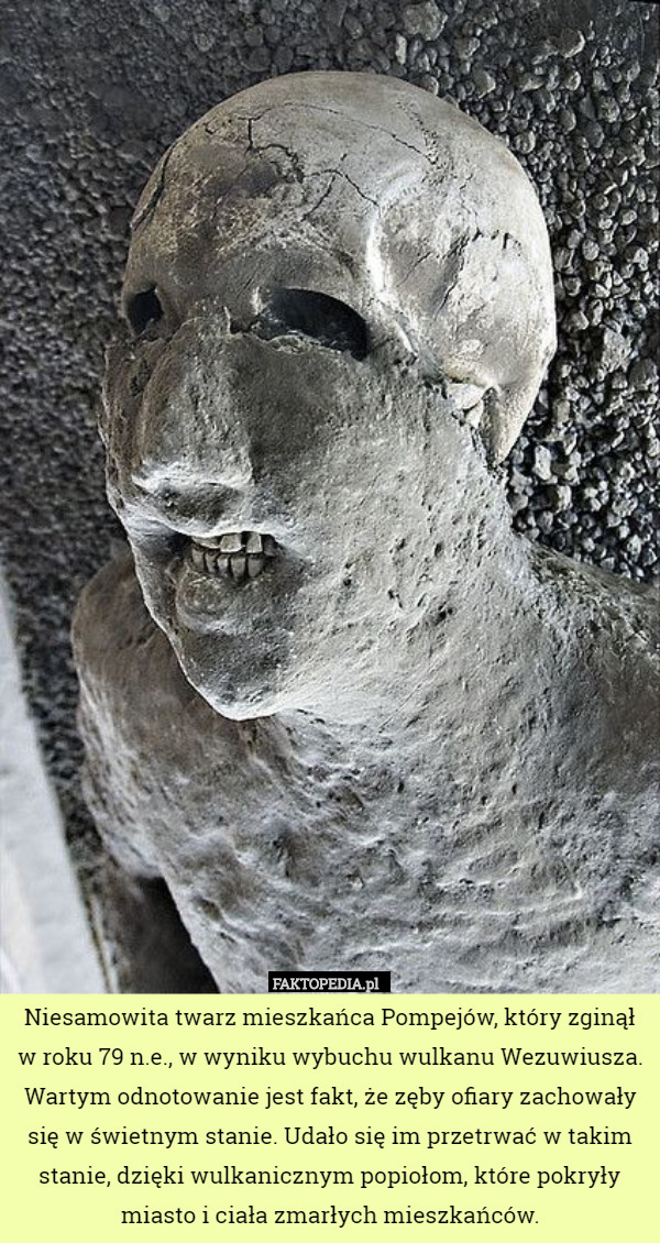 Niesamowita twarz mieszkańca Pompejów, który zginął w roku 79 n.e., w wyniku wybuchu wulkanu Wezuwiusza.
Wartym odnotowanie jest fakt, że zęby ofiary zachowały się w świetnym stanie. Udało się im przetrwać w takim stanie, dzięki wulkanicznym popiołom, które pokryły miasto i ciała zmarłych mieszkańców. 