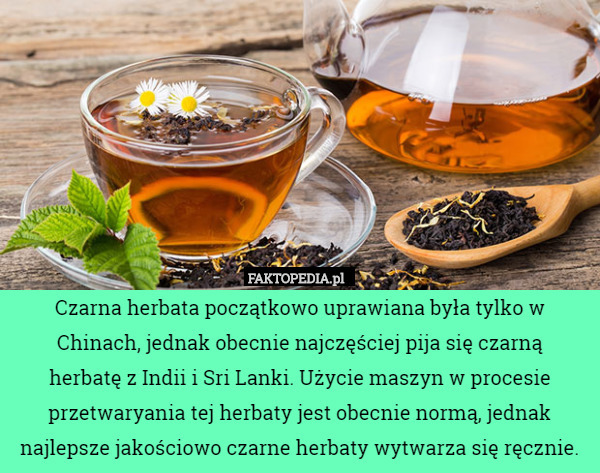 Czarna herbata początkowo uprawiana była tylko w Chinach, jednak obecnie najczęściej pija się czarną
 herbatę z Indii i Sri Lanki. Użycie maszyn w procesie przetwaryania tej herbaty jest obecnie normą, jednak najlepsze jakościowo czarne herbaty wytwarza się ręcznie. 