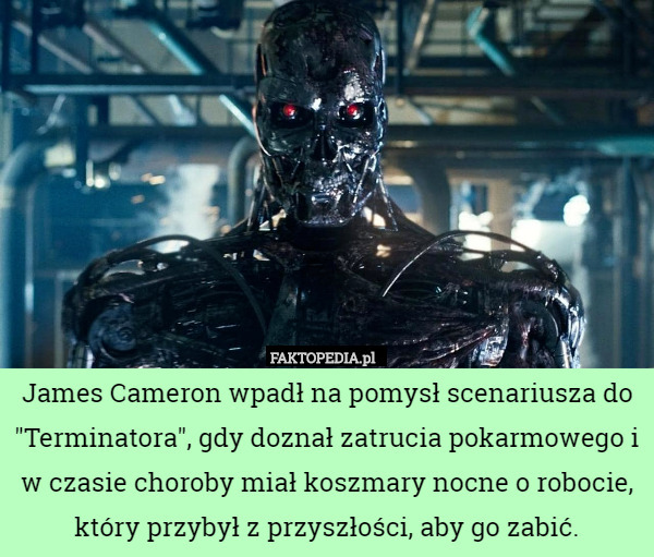 James Cameron wpadł na pomysł scenariusza do "Terminatora", gdy doznał zatrucia pokarmowego i w czasie choroby miał koszmary nocne o robocie, który przybył z przyszłości, aby go zabić. 