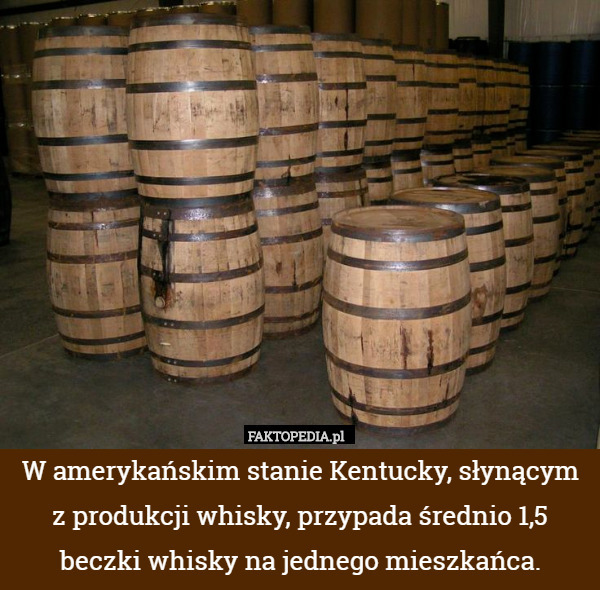 W amerykańskim stanie Kentucky, słynącym z produkcji whisky, przypada średnio 1,5 beczki whisky na jednego mieszkańca. 
