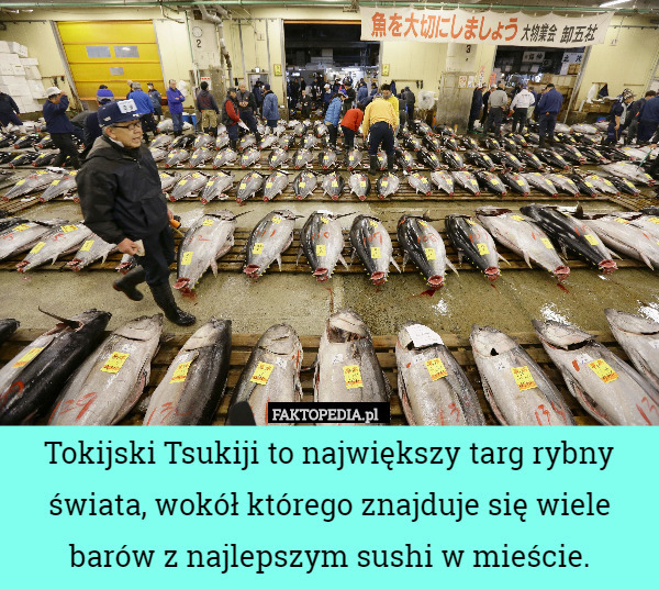 Tokijski Tsukiji to największy targ rybny świata, wokół którego znajduje się wiele barów z najlepszym sushi w mieście. 