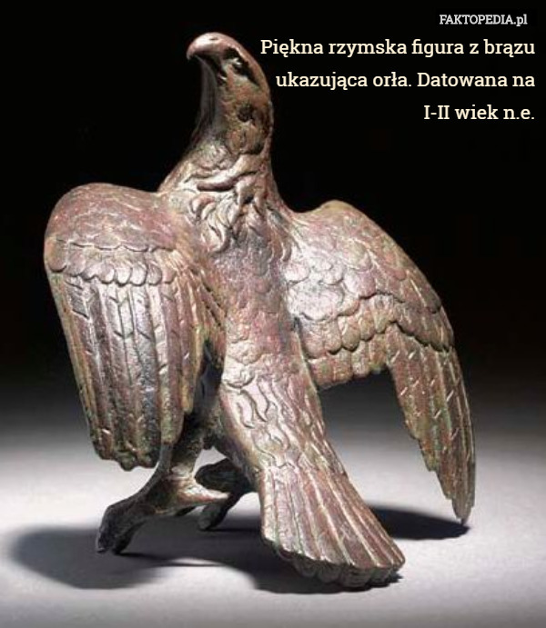Piękna rzymska figura z brązu
 ukazująca orła. Datowana na
 I-II wiek n.e. 