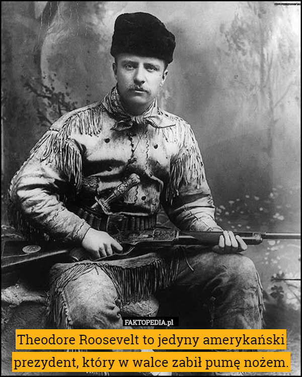 Theodore Roosevelt to jedyny amerykański prezydent, który w walce zabił pumę nożem. 