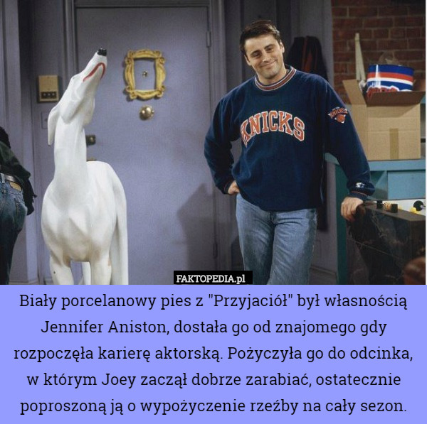 Biały porcelanowy pies z "Przyjaciół" był własnością Jennifer Aniston, dostała go od znajomego gdy rozpoczęła karierę aktorską. Pożyczyła go do odcinka, w którym Joey zaczął dobrze zarabiać, ostatecznie poproszoną ją o wypożyczenie rzeźby na cały sezon. 