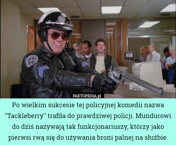 Po wielkim sukcesie tej policyjnej komedii nazwa "Tackleberry" trafiła do prawdziwej policji. Mundurowi do dziś nazywają tak funkcjonariuszy, którzy jako pierwsi rwą się do używania broni palnej na służbie. 