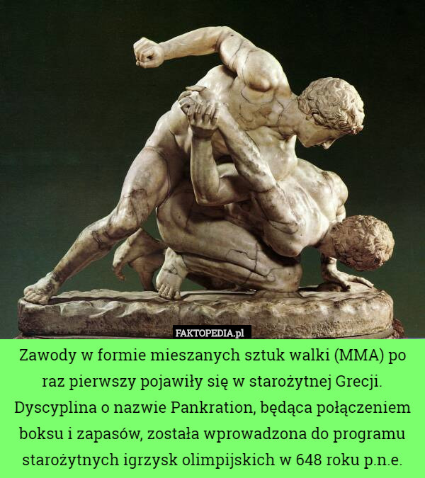 Zawody w formie mieszanych sztuk walki (MMA) po raz pierwszy pojawiły się w starożytnej Grecji. Dyscyplina o nazwie Pankration, będąca połączeniem boksu i zapasów, została wprowadzona do programu starożytnych igrzysk olimpijskich w 648 roku p.n.e. 