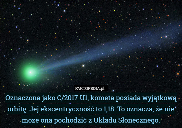 Oznaczona jako C/2017 U1, kometa posiada wyjątkową orbitę. Jej ekscentryczność to 1,18. To oznacza, że nie może ona pochodzić z Układu Słonecznego. 