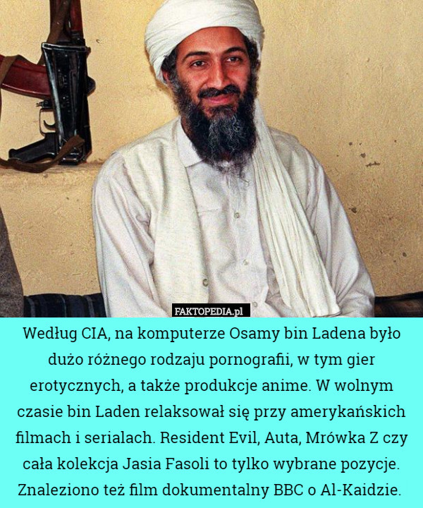 Według CIA, na komputerze Osamy bin Ladena było dużo różnego rodzaju pornografii, w tym gier erotycznych, a także produkcje anime. W wolnym czasie bin Laden relaksował się przy amerykańskich filmach i serialach. Resident Evil, Auta, Mrówka Z czy cała kolekcja Jasia Fasoli to tylko wybrane pozycje. Znaleziono też film dokumentalny BBC o Al-Kaidzie. 