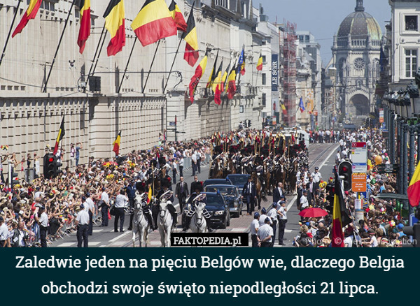 Zaledwie jeden na pięciu Belgów wie, dlaczego Belgia obchodzi swoje święto niepodległości 21 lipca. 