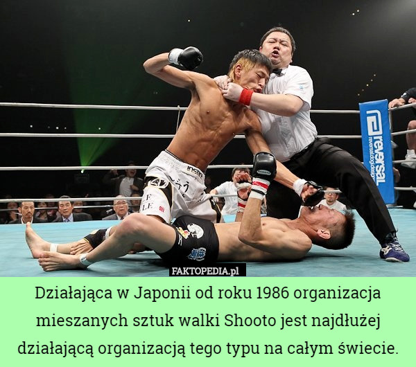 Działająca w Japonii od roku 1986 organizacja mieszanych sztuk walki Shooto jest najdłużej działającą organizacją tego typu na całym świecie. 