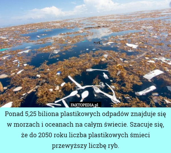 Ponad 5,25 biliona plastikowych odpadów znajduje się w morzach i oceanach na całym świecie. Szacuje się, że do 2050 roku liczba plastikowych śmieci przewyższy liczbę ryb. 