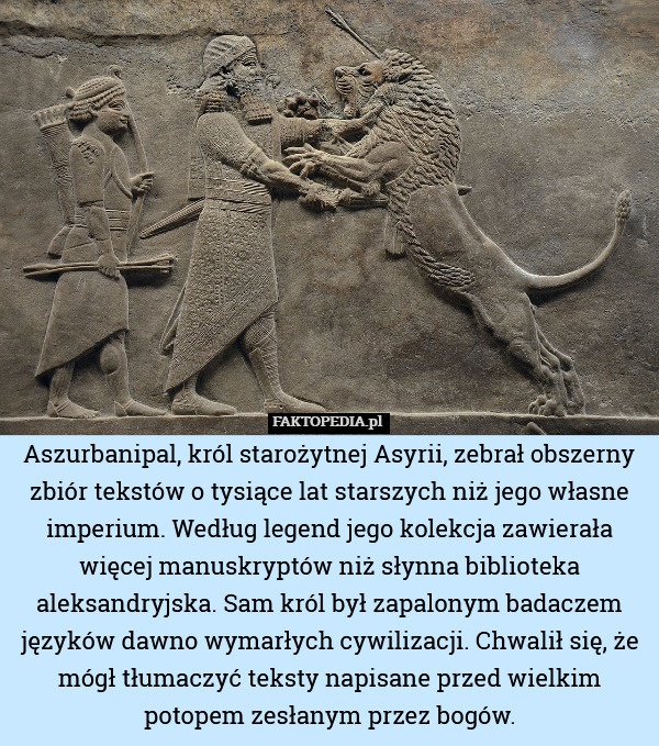 Aszurbanipal, król starożytnej Asyrii, zebrał obszerny zbiór tekstów o tysiące lat starszych niż jego własne imperium. Według legend jego kolekcja zawierała więcej manuskryptów niż słynna biblioteka aleksandryjska. Sam król był zapalonym badaczem języków dawno wymarłych cywilizacji. Chwalił się, że mógł tłumaczyć teksty napisane przed wielkim potopem zesłanym przez bogów. 
