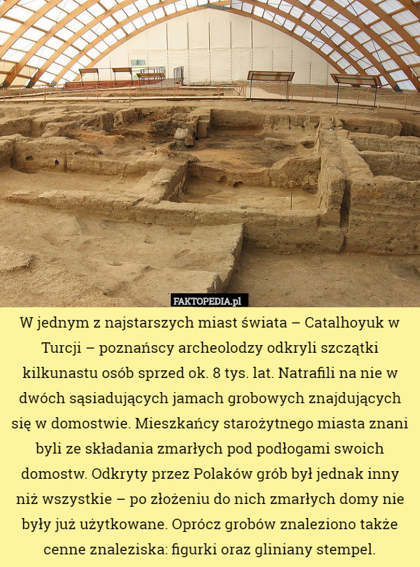 W jednym z najstarszych miast świata – Catalhoyuk w Turcji – poznańscy archeolodzy odkryli szczątki kilkunastu osób sprzed ok. 8 tys. lat. Natrafili na nie w dwóch sąsiadujących jamach grobowych znajdujących się w domostwie. Mieszkańcy starożytnego miasta znani byli ze składania zmarłych pod podłogami swoich domostw. Odkryty przez Polaków grób był jednak inny niż wszystkie – po złożeniu do nich zmarłych domy nie były już użytkowane. Oprócz grobów znaleziono także cenne znaleziska: figurki oraz gliniany stempel. 