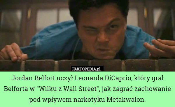Jordan Belfort uczył Leonarda DiCaprio, który grał Belforta w "Wilku z Wall Street", jak zagrać zachowanie pod wpływem narkotyku Metakwalon. 