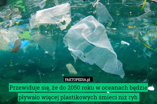 Przewiduje się, że do 2050 roku w oceanach będzie pływało więcej plastikowych śmieci niż ryb. 