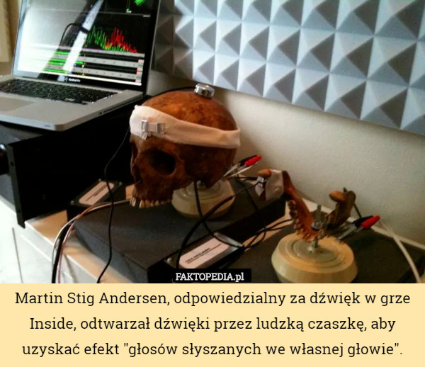 Martin Stig Andersen, odpowiedzialny za dźwięk w grze Inside, odtwarzał dźwięki przez ludzką czaszkę, aby uzyskać efekt "głosów słyszanych we własnej głowie". 