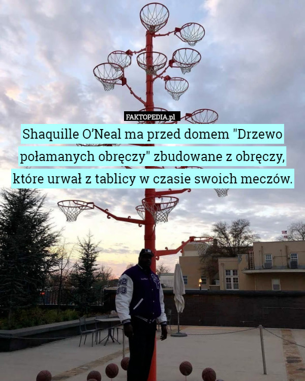 Shaquille O’Neal ma przed domem "Drzewo połamanych obręczy" zbudowane z obręczy, które urwał z tablicy w czasie swoich meczów. 