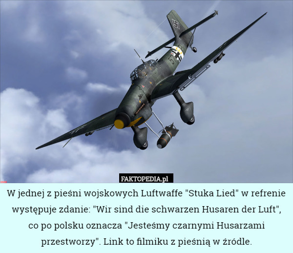 W jednej z pieśni wojskowych Luftwaffe "Stuka Lied" w refrenie występuje zdanie: "Wir sind die schwarzen Husaren der Luft", co po polsku oznacza "Jesteśmy czarnymi Husarzami przestworzy". Link to filmiku z pieśnią w źródle. 