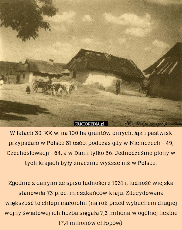 W latach 30. XX w. na 100 ha gruntów ornych, łąk i pastwisk przypadało w Polsce 81 osób, podczas gdy w Niemczech - 49, Czechosłowacji - 64, a w Danii tylko 36. Jednocześnie plony w tych krajach były znacznie wyższe niż w Polsce.

Zgodnie z danymi ze spisu ludności z 1931 r, ludność wiejska stanowiła 73 proc. mieszkańców kraju. Zdecydowana większość to chłopi małorolni (na rok przed wybuchem drugiej wojny światowej ich liczba sięgała 7,3 miliona w ogólnej liczbie 17,4 milionów chłopów). 