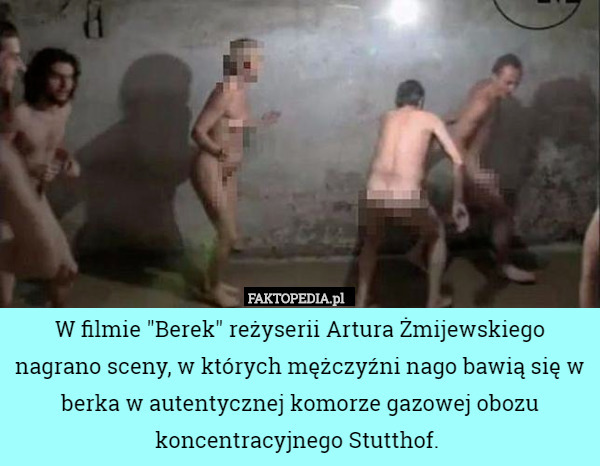 W filmie "Berek" reżyserii Artura Żmijewskiego nagrano sceny, w których mężczyźni nago bawią się w berka w autentycznej komorze gazowej obozu koncentracyjnego Stutthof. 