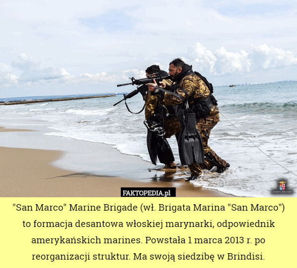 "San Marco" Marine Brigade (wł. Brigata Marina "San Marco")
 to formacja desantowa włoskiej marynarki, odpowiednik amerykańskich marines. Powstała 1 marca 2013 r. po reorganizacji struktur. Ma swoją siedzibę w Brindisi. 