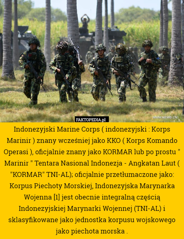 Indonezyjski Marine Corps ( indonezyjski : Korps Marinir ) znany wcześniej jako KKO ( Korps Komando Operasi ), oficjalnie znany jako KORMAR lub po prostu " Marinir " Tentara Nasional Indonezja - Angkatan Laut ( "KORMAR" TNI-AL); oficjalnie przetłumaczone jako: Korpus Piechoty Morskiej, Indonezyjska Marynarka Wojenna [1] jest obecnie integralną częścią Indonezyjskiej Marynarki Wojennej (TNI-AL) i sklasyfikowane jako jednostka korpusu wojskowego jako piechota morska . 