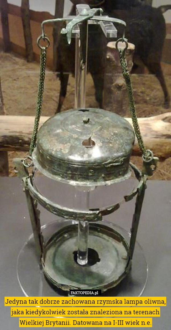 Jedyna tak dobrze zachowana rzymska lampa oliwna, jaka kiedykolwiek została znaleziona na terenach Wielkiej Brytanii. Datowana na I-III wiek n.e. 